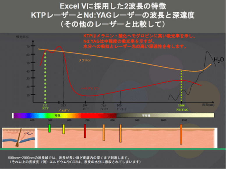 ExcelVに採用した2波長の特徴 KTPレーザーとNd:YAGレーザーの波長と深達度（その他のレーザーと比較して）
